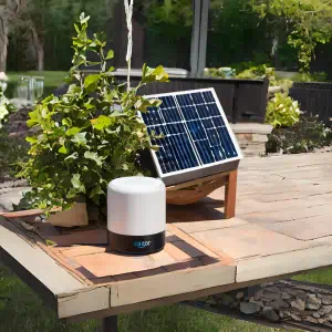 Alexa y la Energía Solar en Casa: Una Combinación Potente para la Eficiencia Energética
